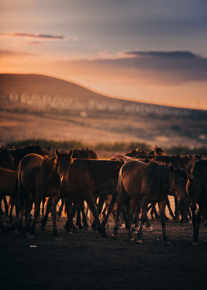 wondersofanatolia