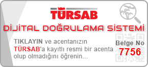 Türkçe