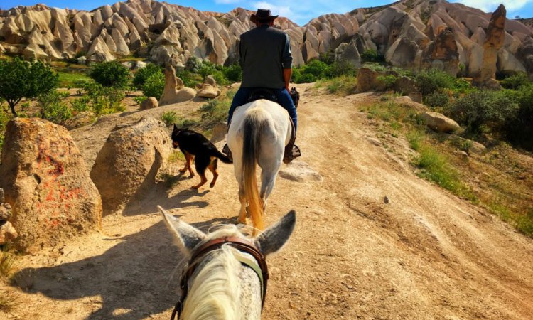 wondersofanatolia